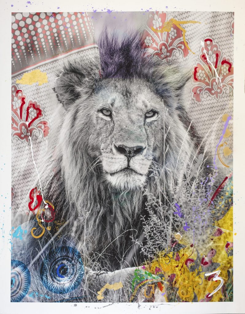 “Leone” by Arno Elias