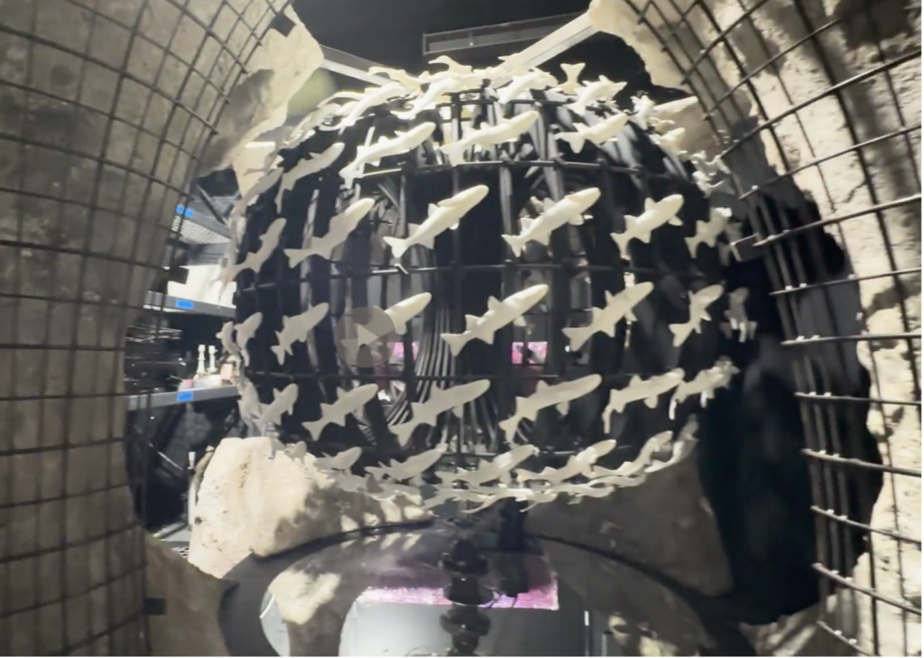 Courtesy Fairgrounds St. Pete