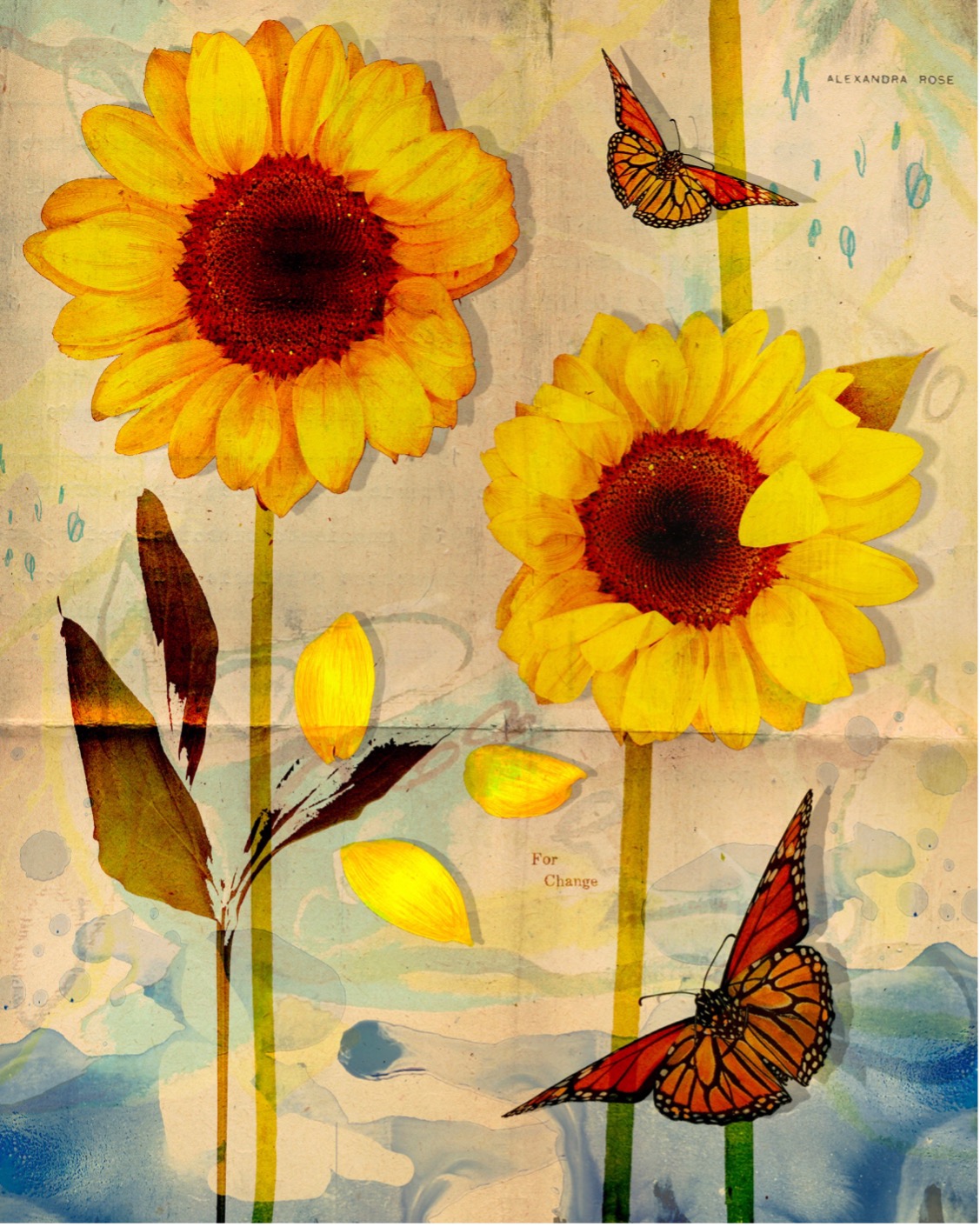 Sunflower by Alex Rudin